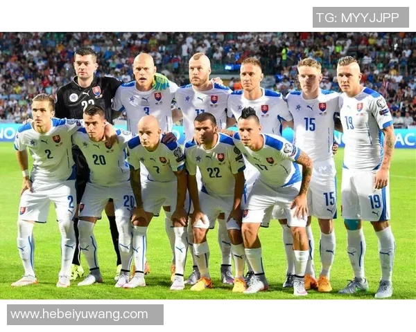 斯洛伐克足球历史上那些闪耀光芒的球星及其精彩瞬间